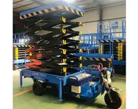 三(san)輪車升(sheng)降平台(tai)